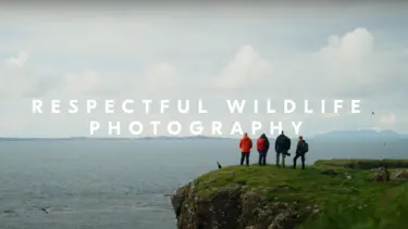 YouTube Thumbnail for Lara Jackson and George Turner's Respectful Wildlife Photography guide video.