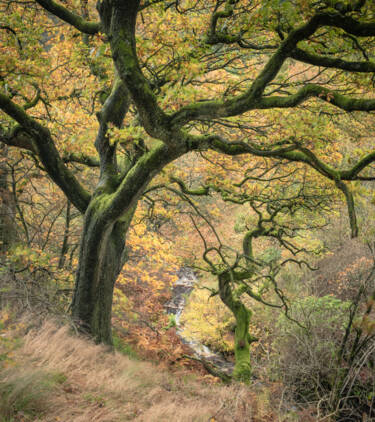 Nigel Danson assets for Nikon magazine