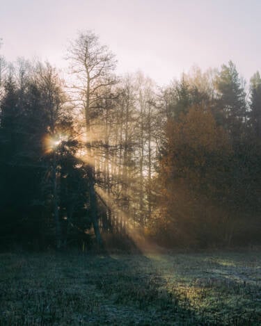 Linus Bergman | Nikon magazine