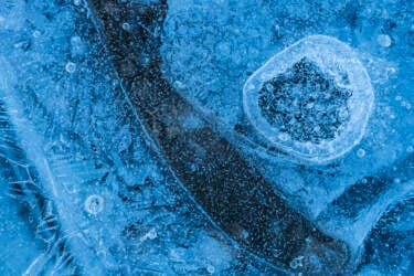 Ross Hoddinott | Nikon magazine