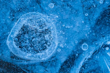 Ross Hoddinott | Nikon magazine