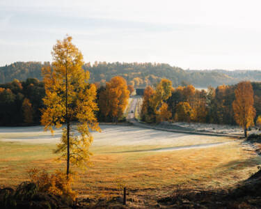 Linus Bergman | Nikon magazine