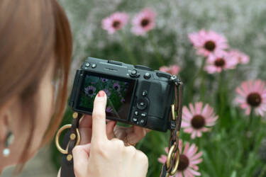 nikon-image