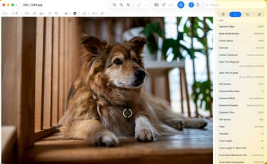 Nikon magazine - EXIF data